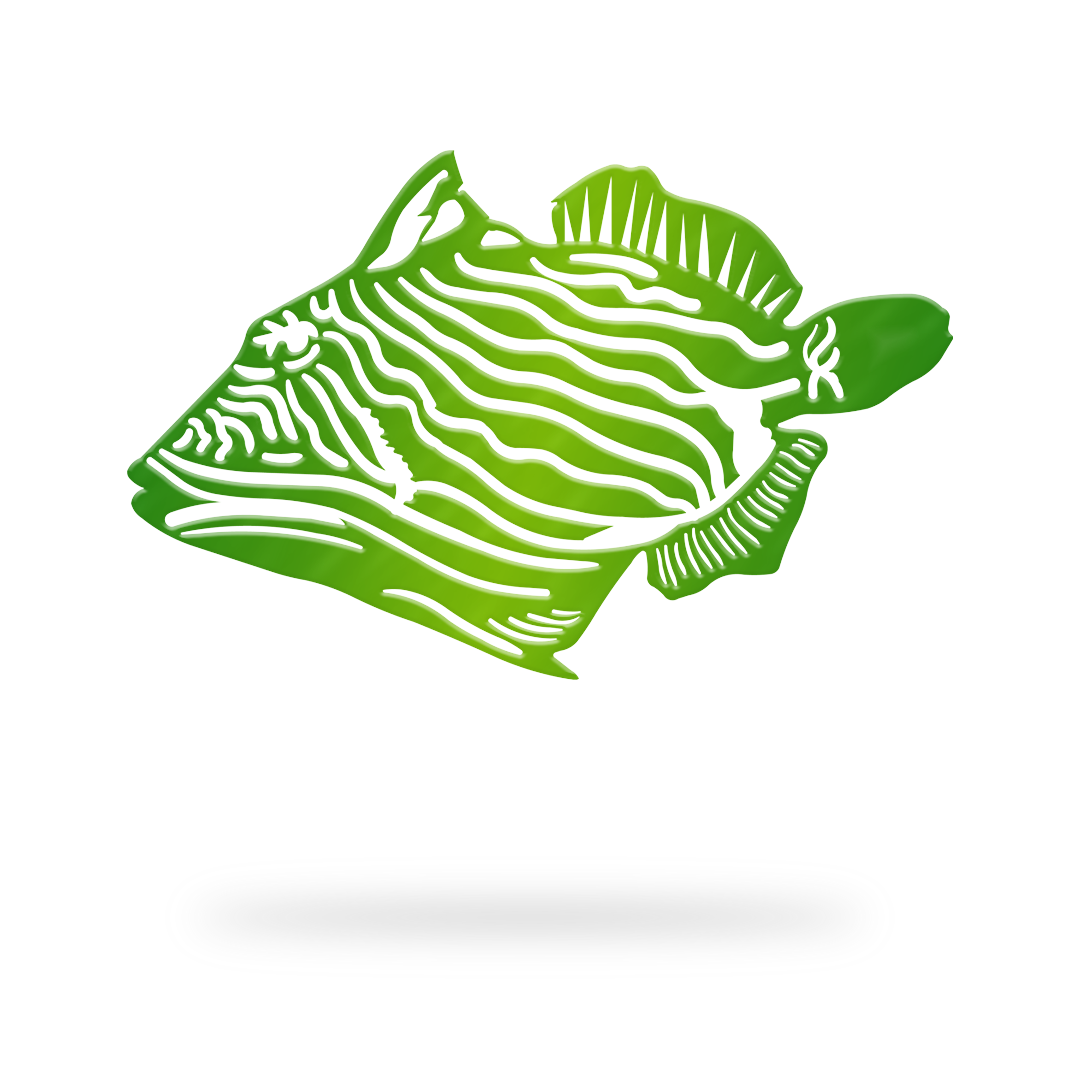 Trigger Fish Sign with green finish