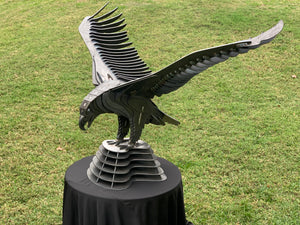 American Bald Eagle