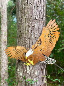 Animal Sign - Screaming American Bald Eagle
